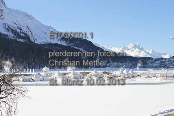 ET0Q0001.1 prot